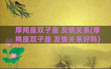 摩羯座双子座 友情关系(摩羯座双子座 友情关系好吗)